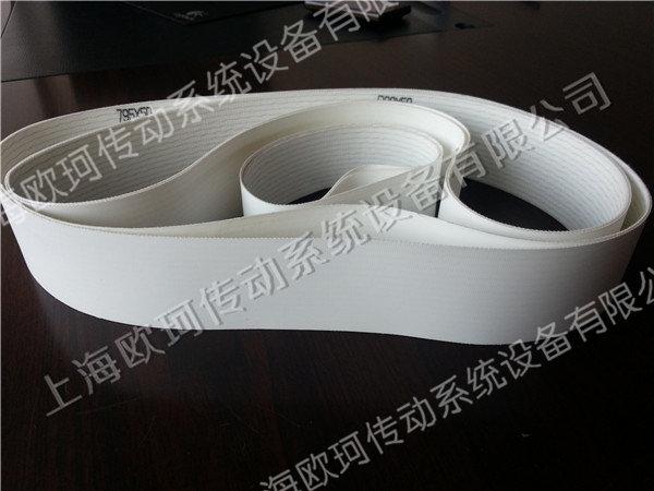 HABASIT FWE食品输送带