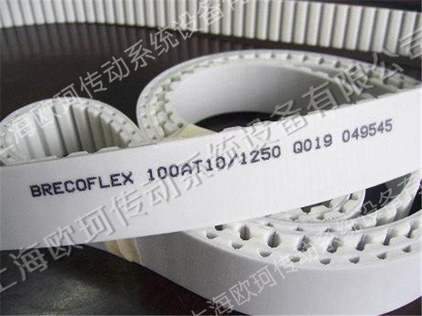 BRECOFLEX 100AT10-1250
